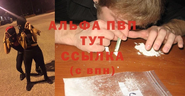 винт Фёдоровский